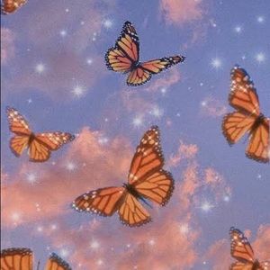 Meet your Posher, Jorja